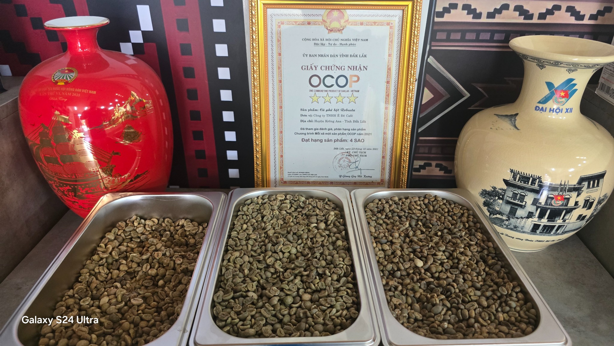 Mẫu cà phê và hồ sơ nguồn cung